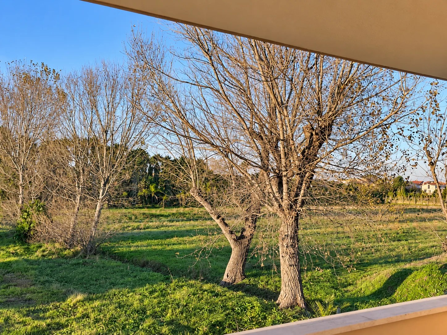 Trilocale a Fiumicino — foto 18 di 18
